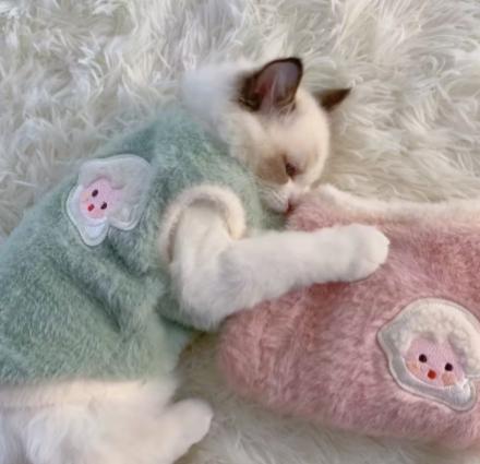 Chaleco Encantador Grueso Y Cálido